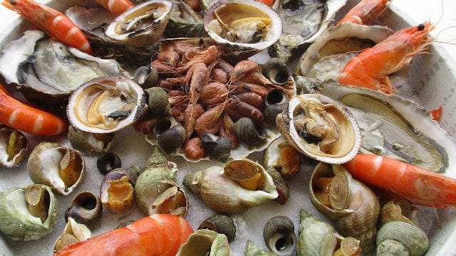 Sélenium, zinc et fonction rénale