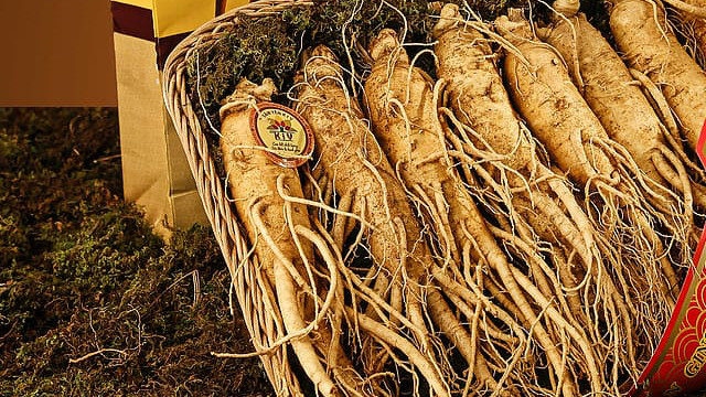 Ginseng et NAFLD