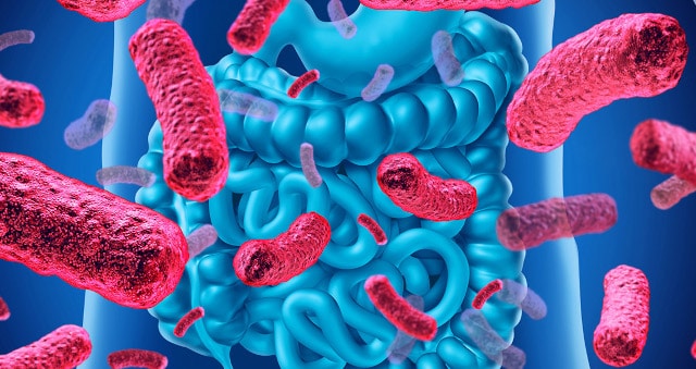 Probiotiques et rhinite allergique