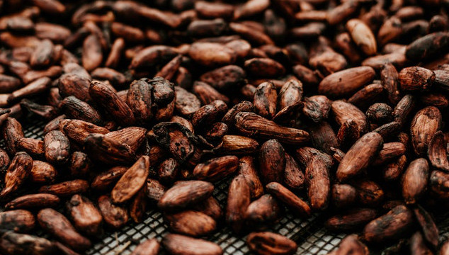 Flavanols de cacao, stress et santé vasculaire