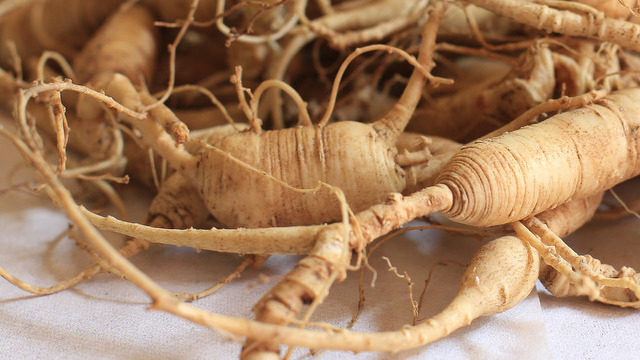 Ginseng et ostéopénie