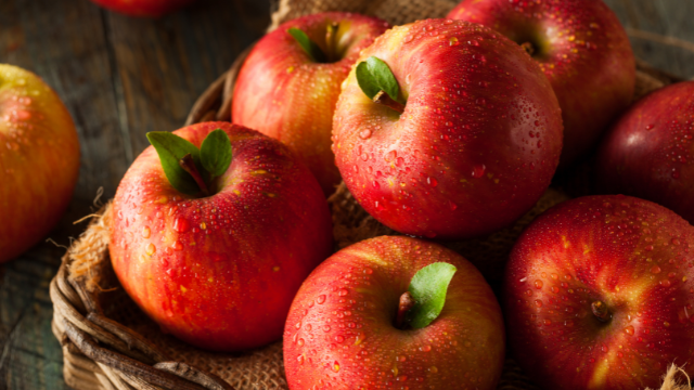 Effets métaboliques et vasculaires des polyphénols de pommes