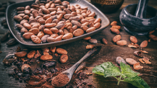 Cacao, baies rouges et santé cardiovasculaire