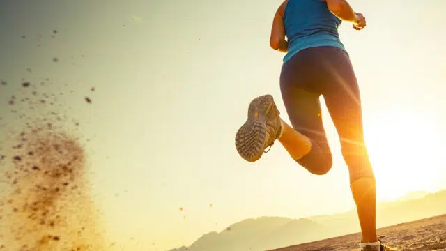 Probiotique et fatigue musculaire des marathoniens