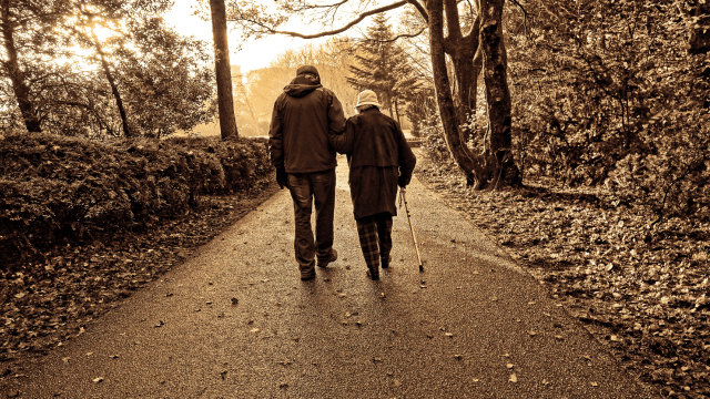 Nicotinamide riboside et maladie artérielle périphérique