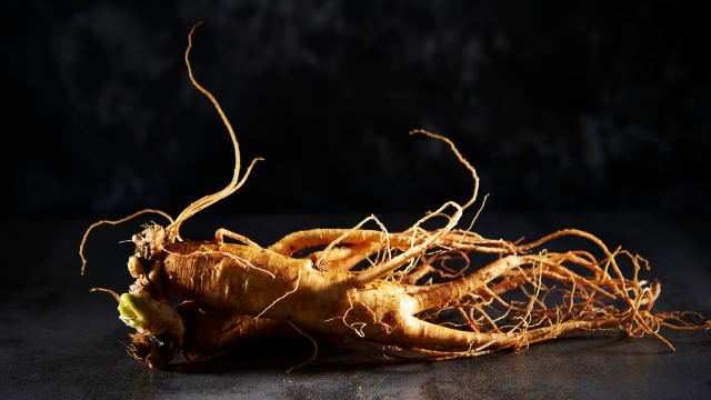 Ginseng et pancréatite