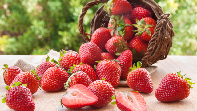 Fraises, statut antioxydant et prédiabète