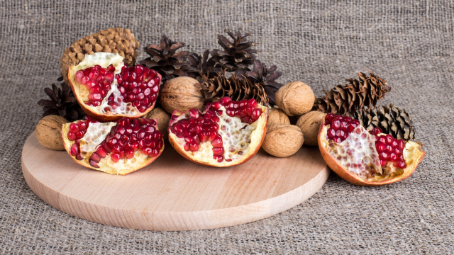 Urolithine A et système immunitaire