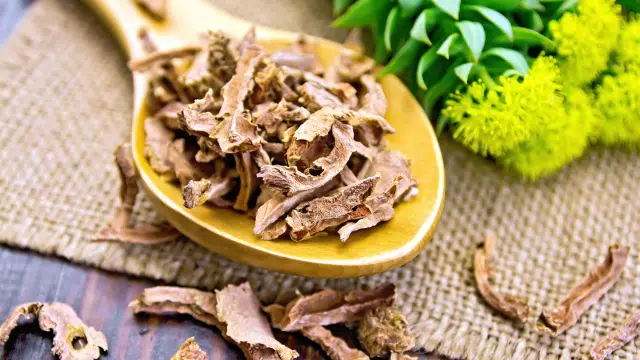 # 448 - Rhodiole, performances et fatigue des basketteurs