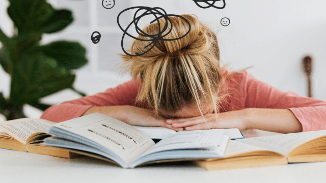 PEA et régulation du stress