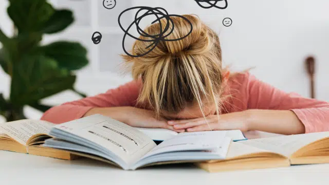 PEA et régulation du stress