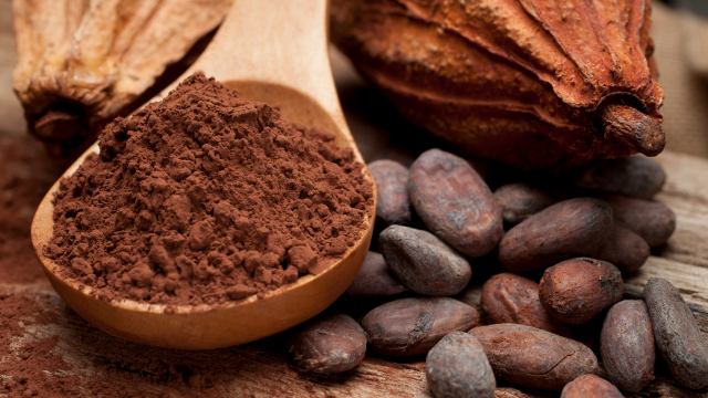 Flavanols de cacao, sédentarité et cerveau
