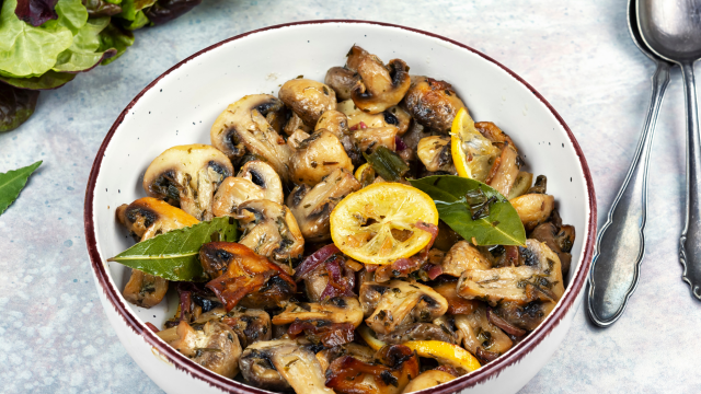 Champignons et cognition