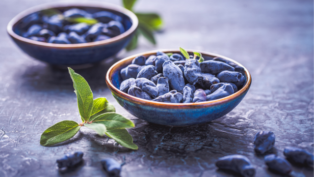 Extrait de baies rouges et presbytie