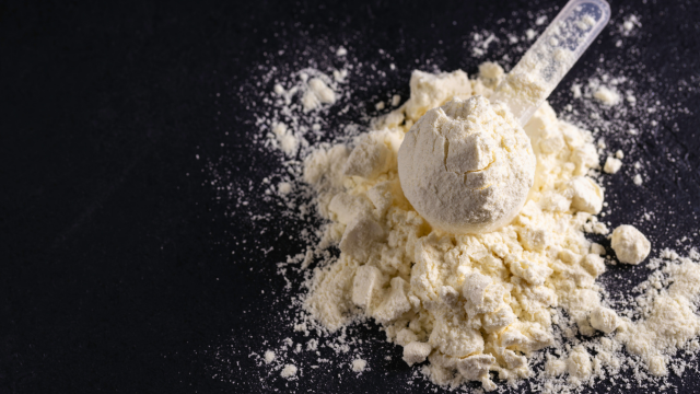 Protéines de lactosérum fermentées, fragilité et sarcopénie