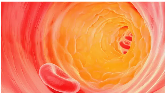 Ménaquinone-7 et calcification artérielle