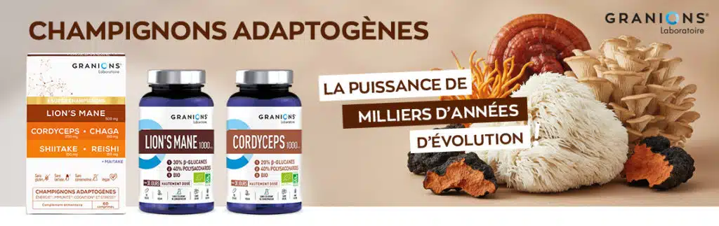 Champignon adaptogène
