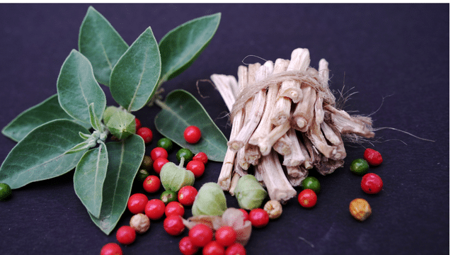 Ashwagandha et TDAH